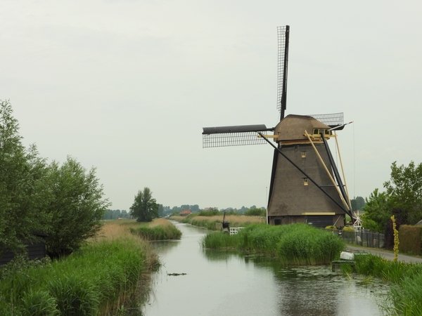 goudriaansemolengoudriaan22052020 5